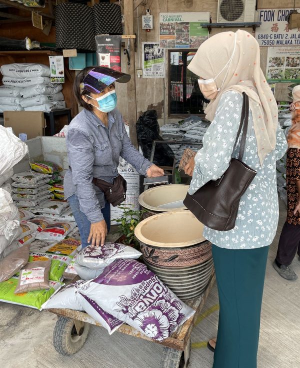 (古城第二版主文)园艺恢复营业·门庭若市朝气蓬勃