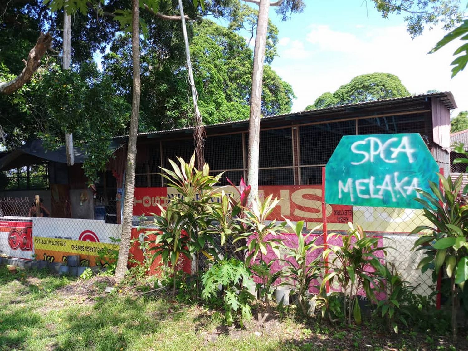 （古城第四版主文）甲防虐动物协会推出“助养宠物”活动