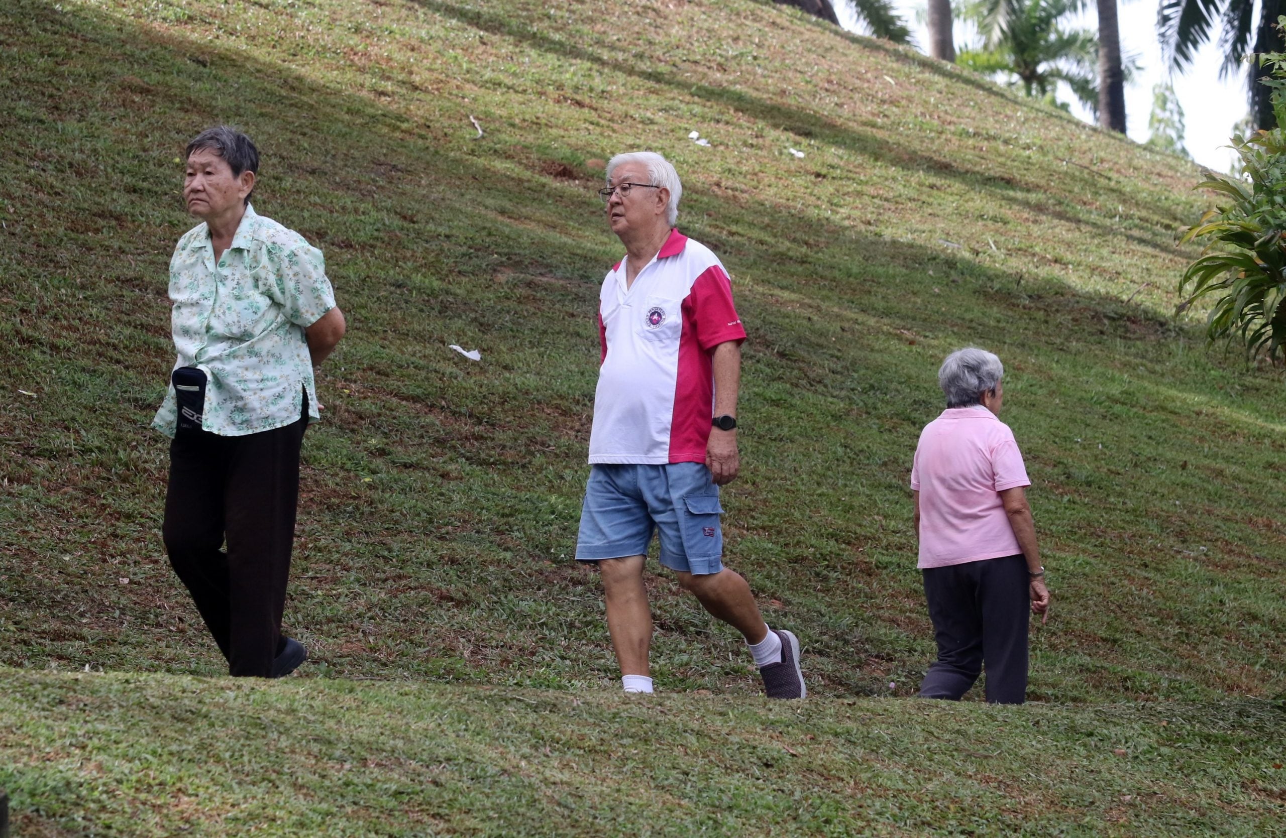 (大北马)退休村梦~~活老活好