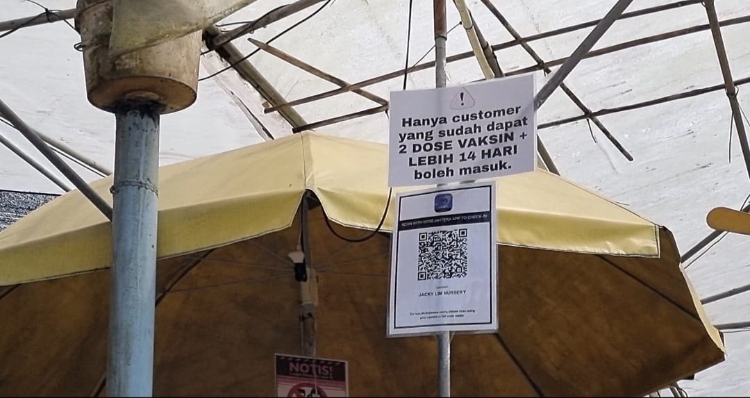 me03主文-大都会-走访花圃 12图