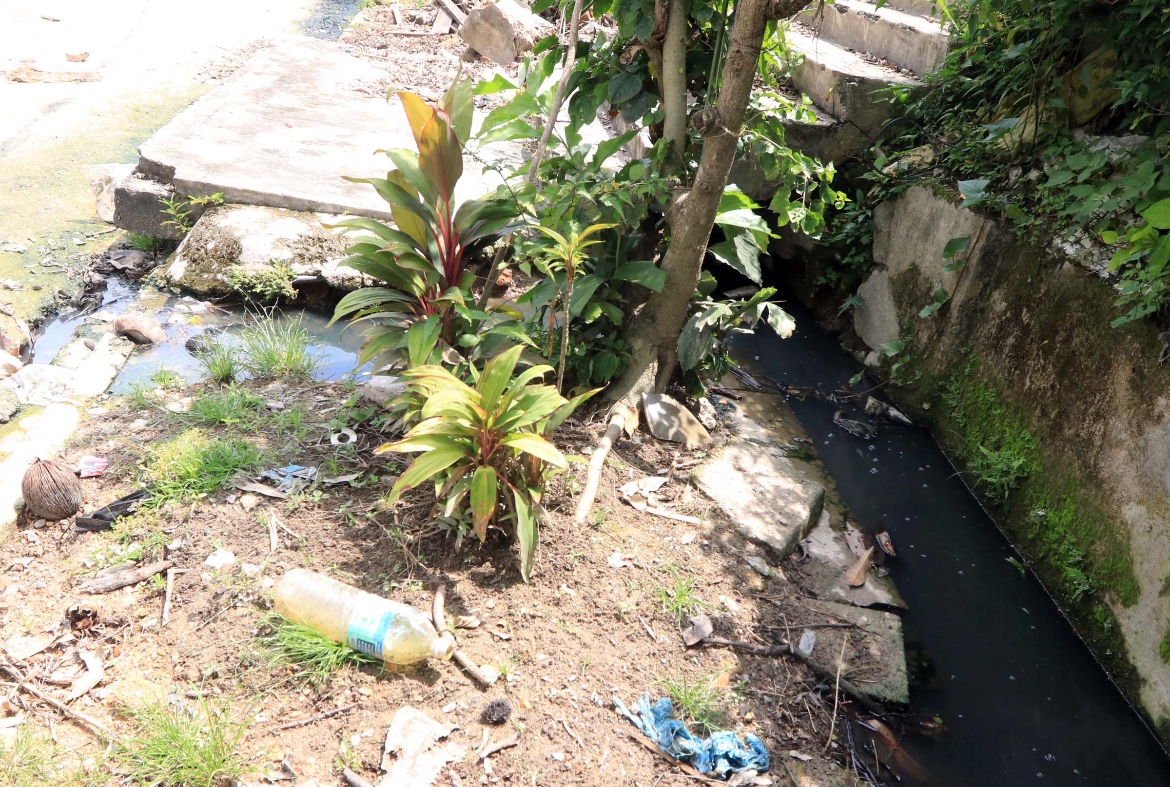 NS星洲:迪沙亚沙组屋旁沟渠阻塞,叶耀荣拨款两万维修