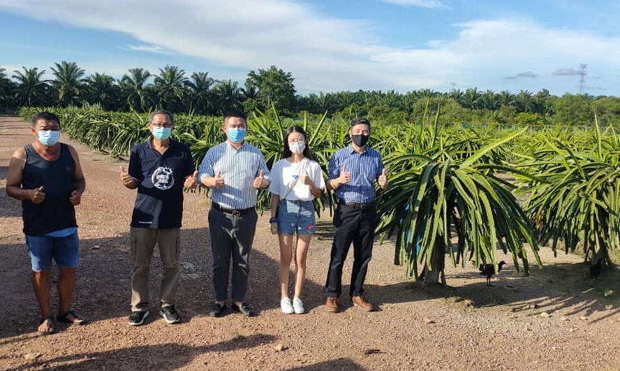 NS朱湖:引入私营企业推广农产品,叶朝政助朱湖特产“从农场到餐桌”