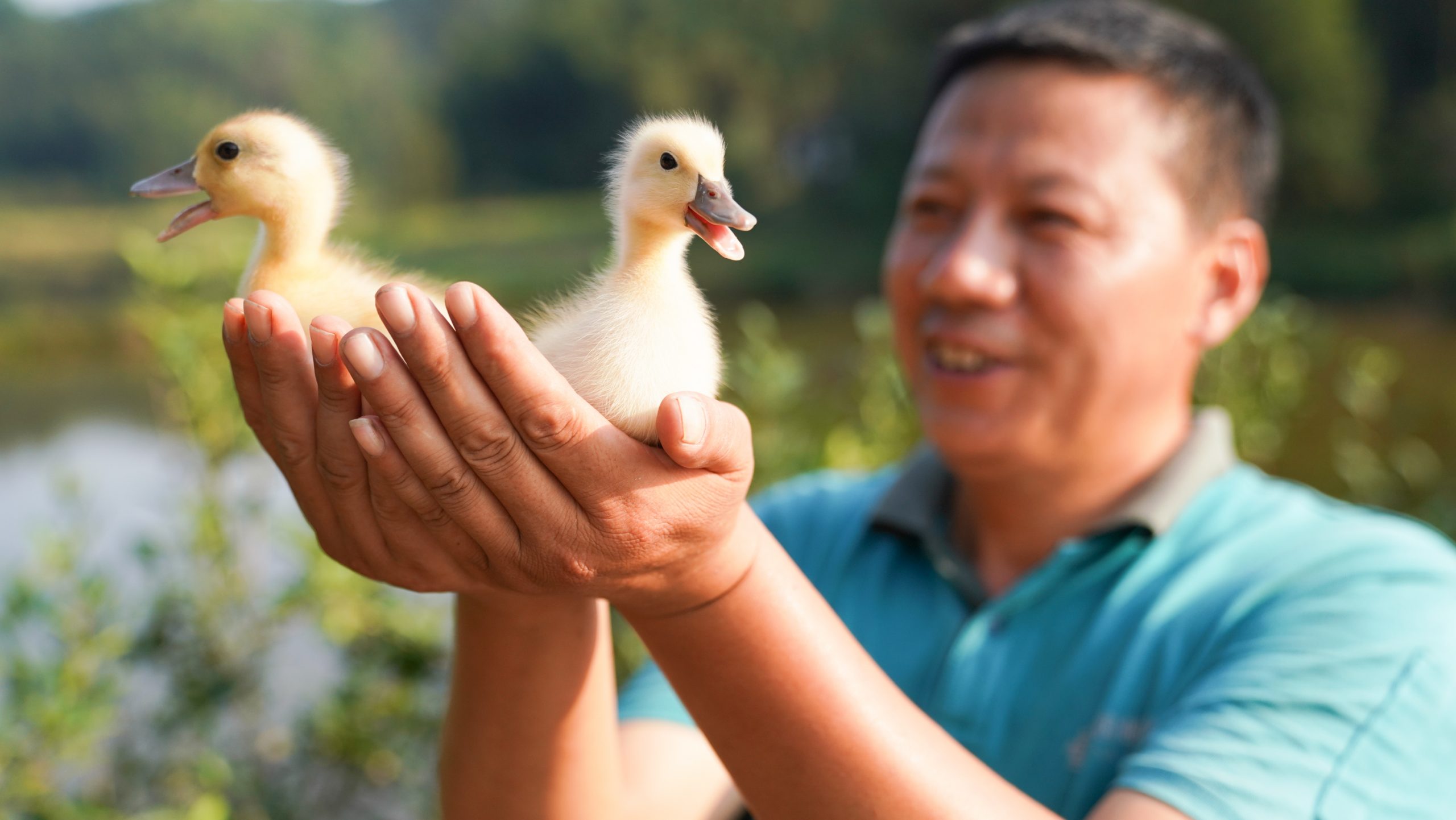 50万公里邮路 连接深山的幸福