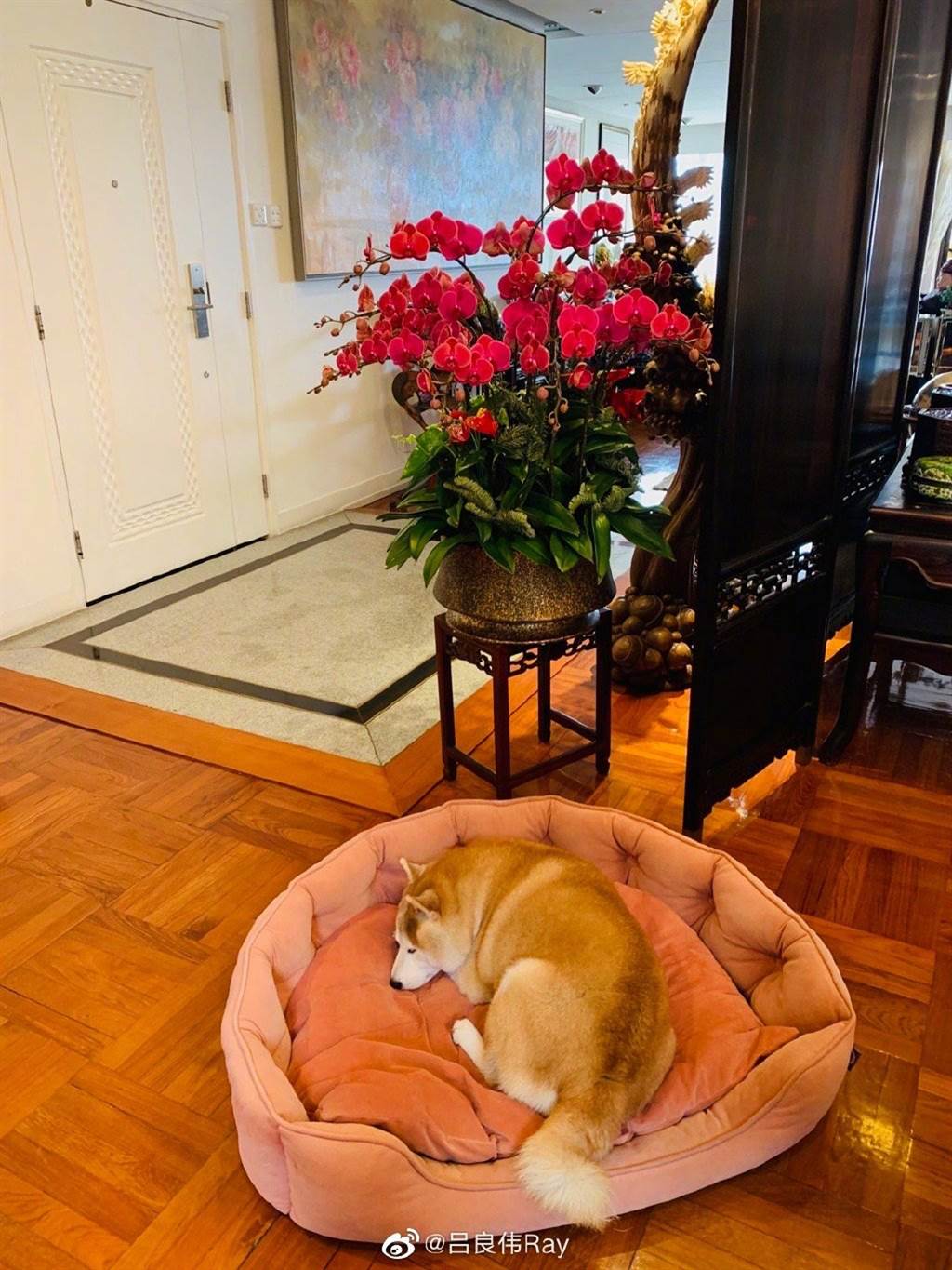 64岁吕良伟身价破6亿 浮夸中式豪宅内装曝光