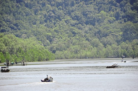 【古晋笔记】蔡羽/峇哥,砂拉越最早的国家公园