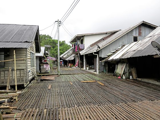 【古晋笔记】蔡羽/毛姆的木麻黄树和阿金