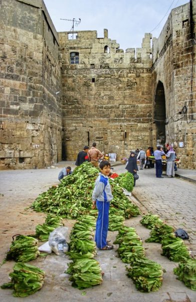 【叙利亚】哈马/水车之城