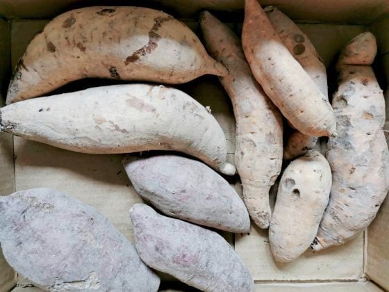 【地方DNA】卓衍豪／我很丑，可是我一样有价值