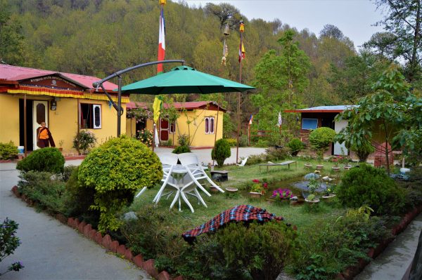 【大牌档】May子/宁做一块福田