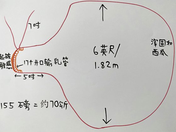 【看不见的乳房／03】书写乳房二三事／乳房，在文学里担当什幺角色？