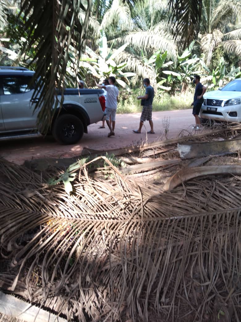 东:偷果惯犯车爆胎人赃并获遭警扣留