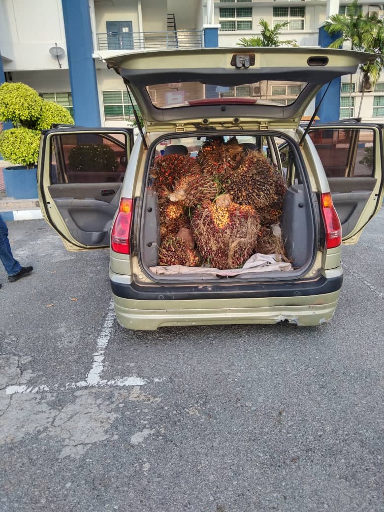 东:偷果惯犯车爆胎人赃并获遭警扣留