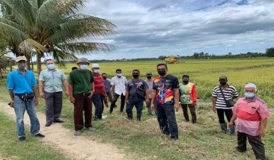 东：本地米不吃香，吉兰丹香米合作社的200名稻农申诉，过去3年面对市场出路问题，为没有买家而愁困。