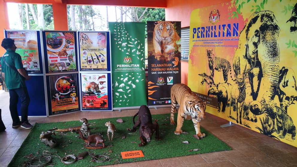 东:百乐湖拟提升.八项计划等拨款