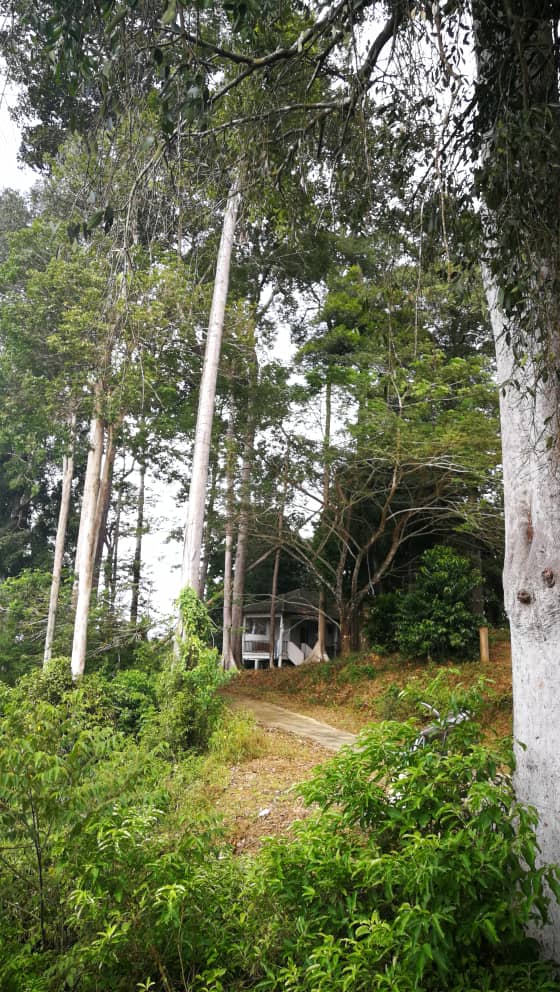 东:百乐湖拟提升.八项计划等拨款