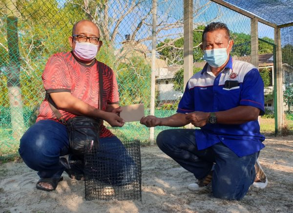 每千只海龟仅有1个“生还者”！船只螺旋桨、渔网、塑料成“海龟三大杀手”