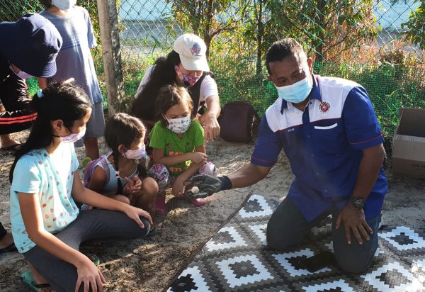 每千只海龟仅有1个“生还者”！船只螺旋桨、渔网、塑料成“海龟三大杀手”
