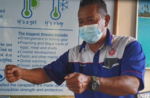 每千只海龟仅有1个“生还者”！船只螺旋桨、渔网、塑料成“海龟三大杀手”