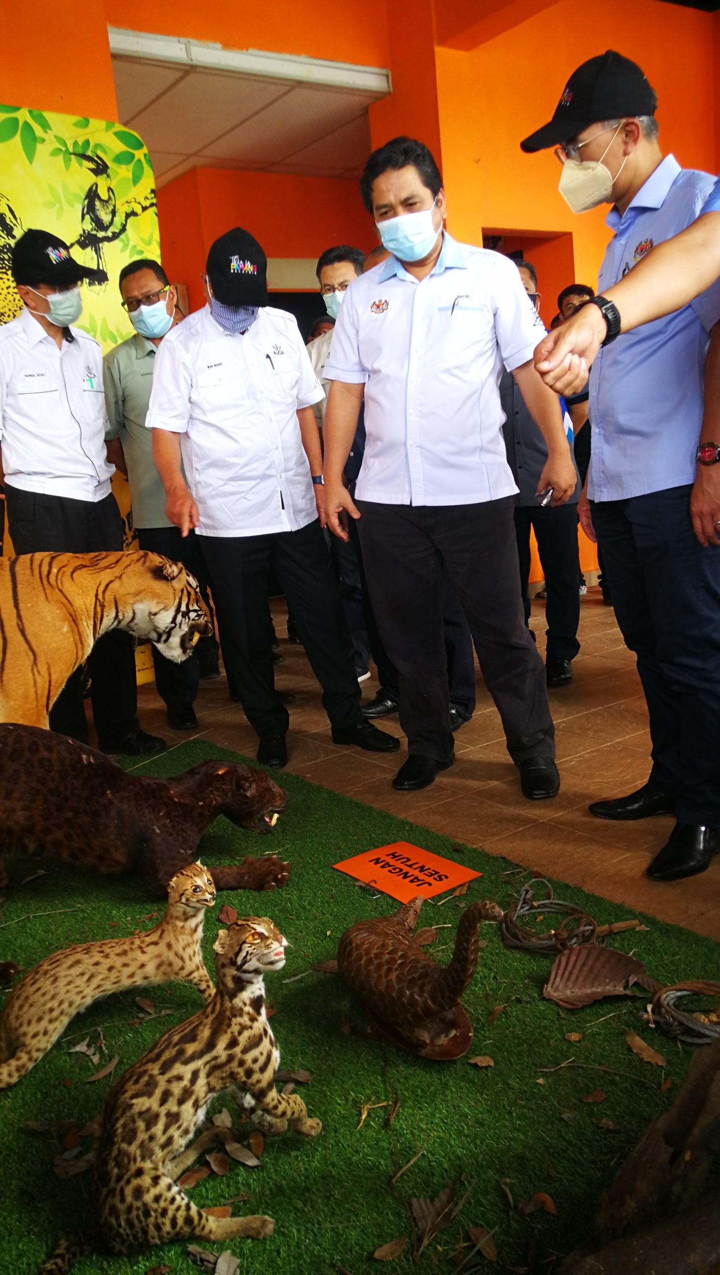 全国:财长:我国明年经济更好