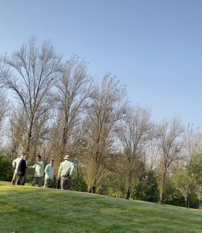 北京野生动物园游客擅自下车冲向虎群