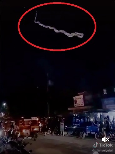 大蛇盘踞闹市空中 民众吓坏尖叫