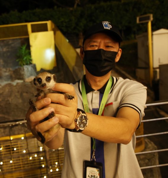 大都会 /封面/ 全马最大的音乐喷泉 / 15图