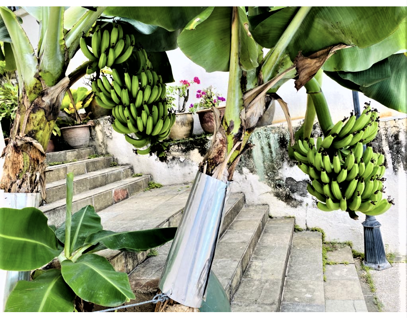 大都会-有故事的人/18日见报