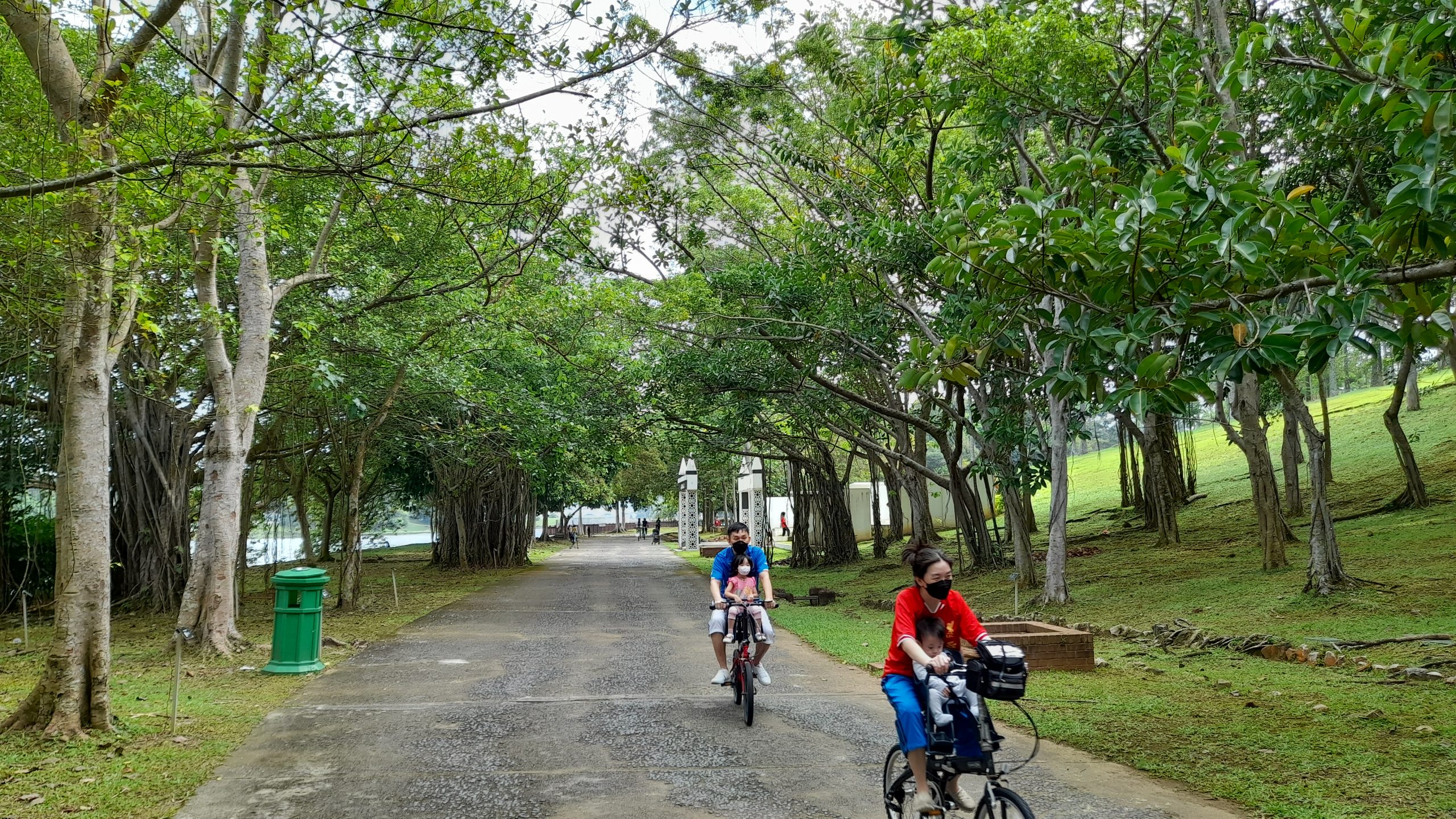 大都会2/走访布城湖滨公园人潮