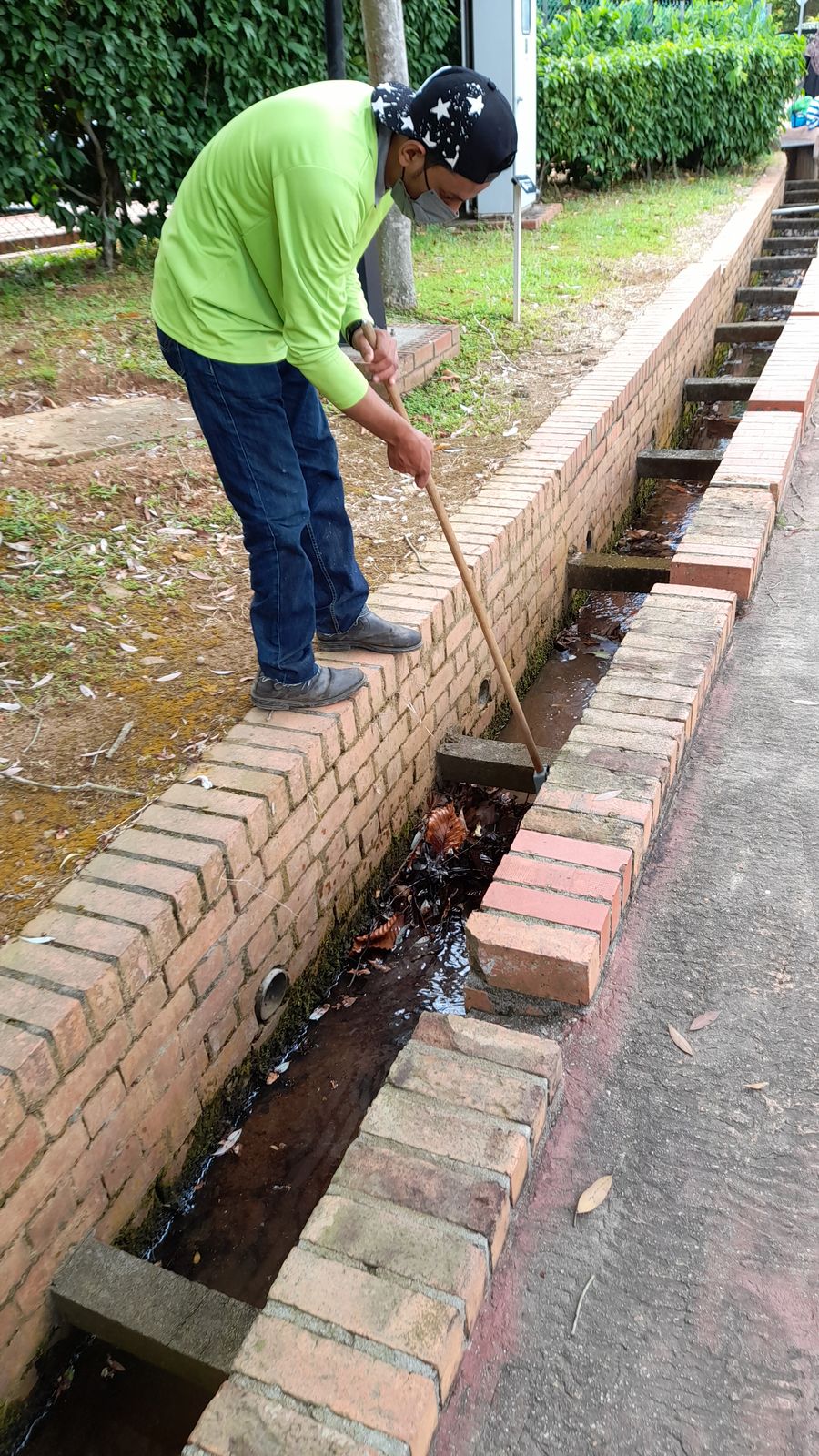 大都会2/走访布城湖滨公园人潮