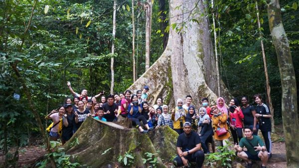 大都会/自由跨州旅游业蓄势待发