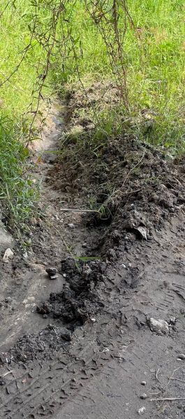 大都会/ME03头/根登青皮书农地获40万铺石/10图