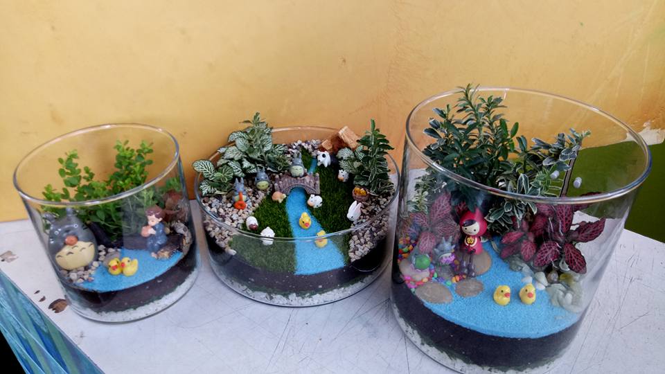 大都会/MZ头/ 售卖盆栽生意情况 / 多图