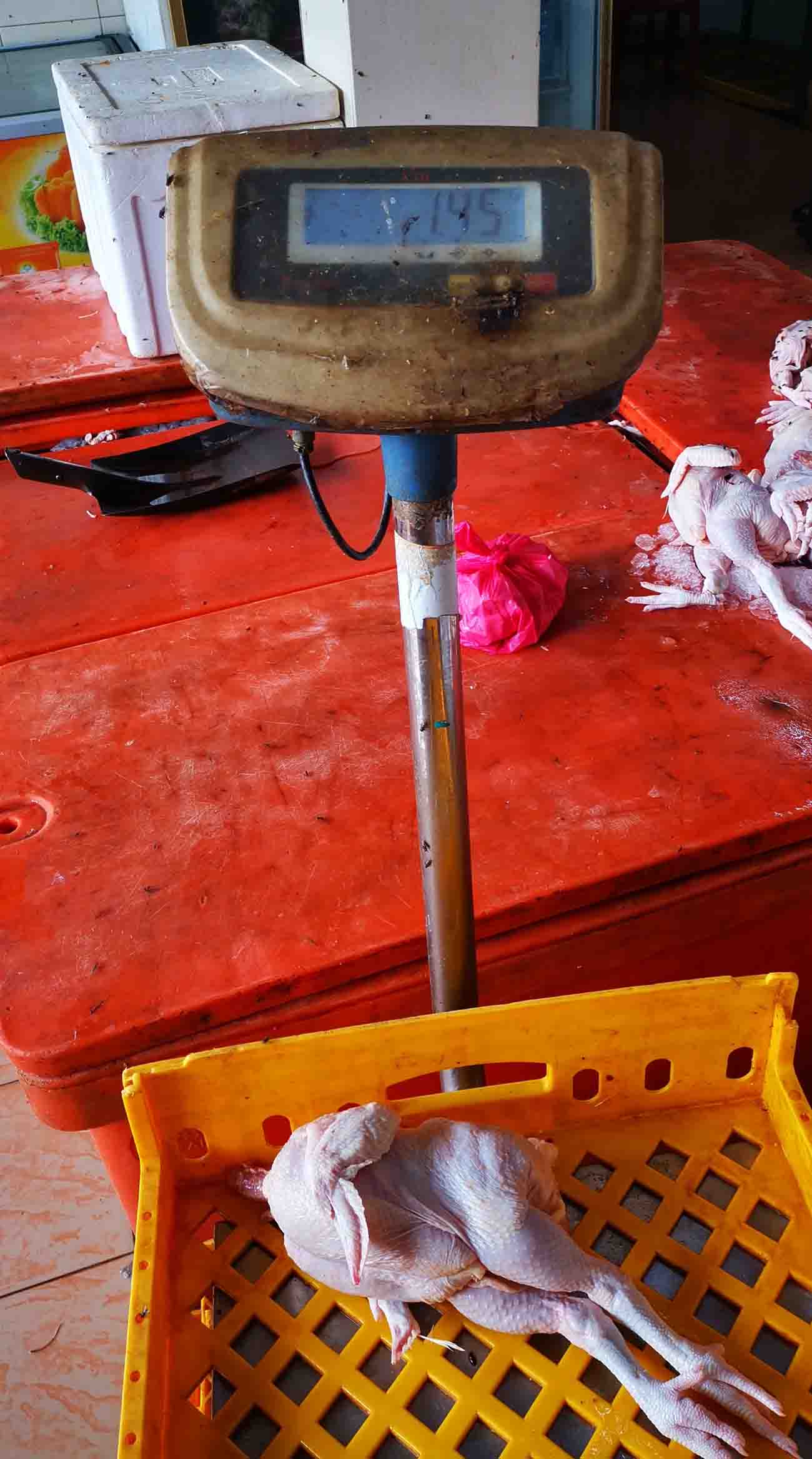 大霹雳时事焦点/农场鸡难养缺供 肉鸡未够重 推出卖