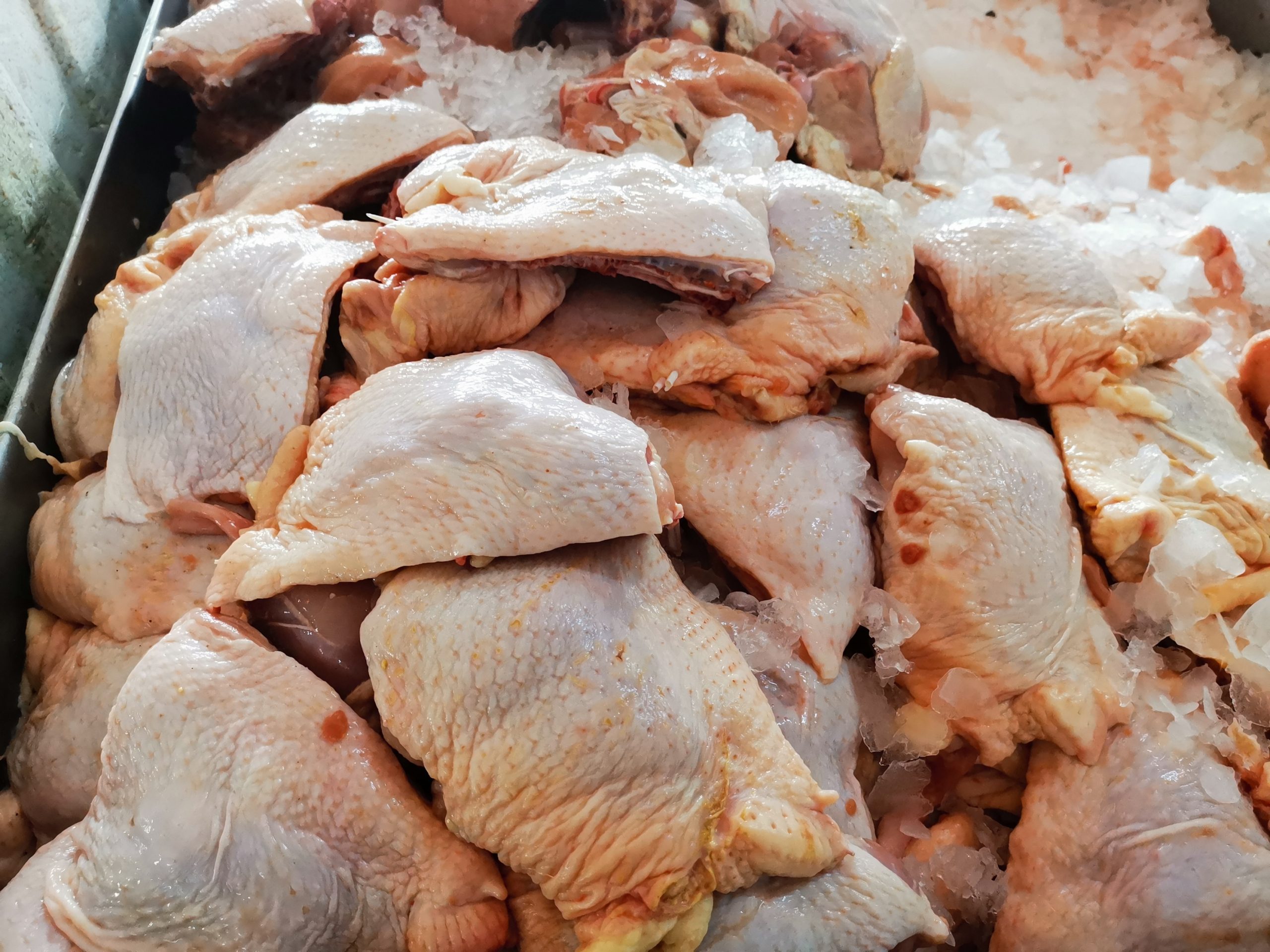 大霹雳时事焦点/农场鸡难养缺供 肉鸡未够重 推出卖