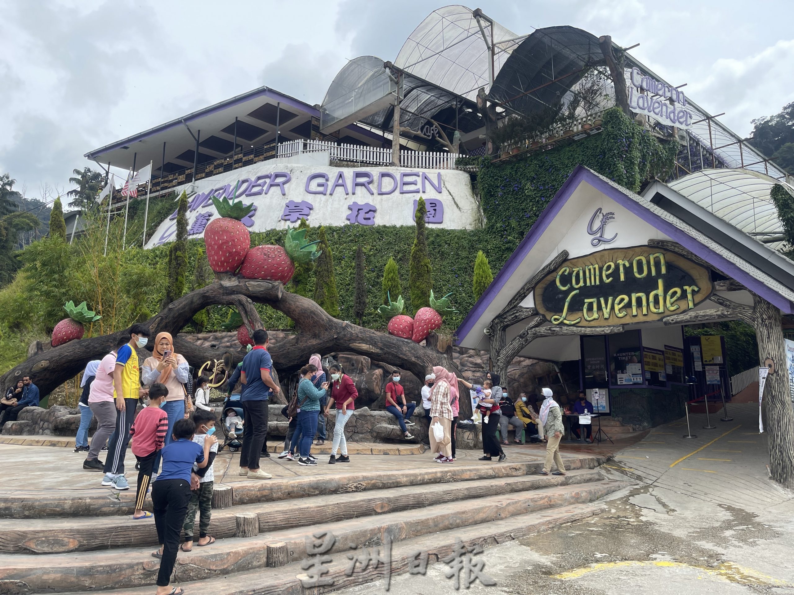 大霹雳时事焦点／刺激经济业者欣喜 金马仑游客回归热闹 