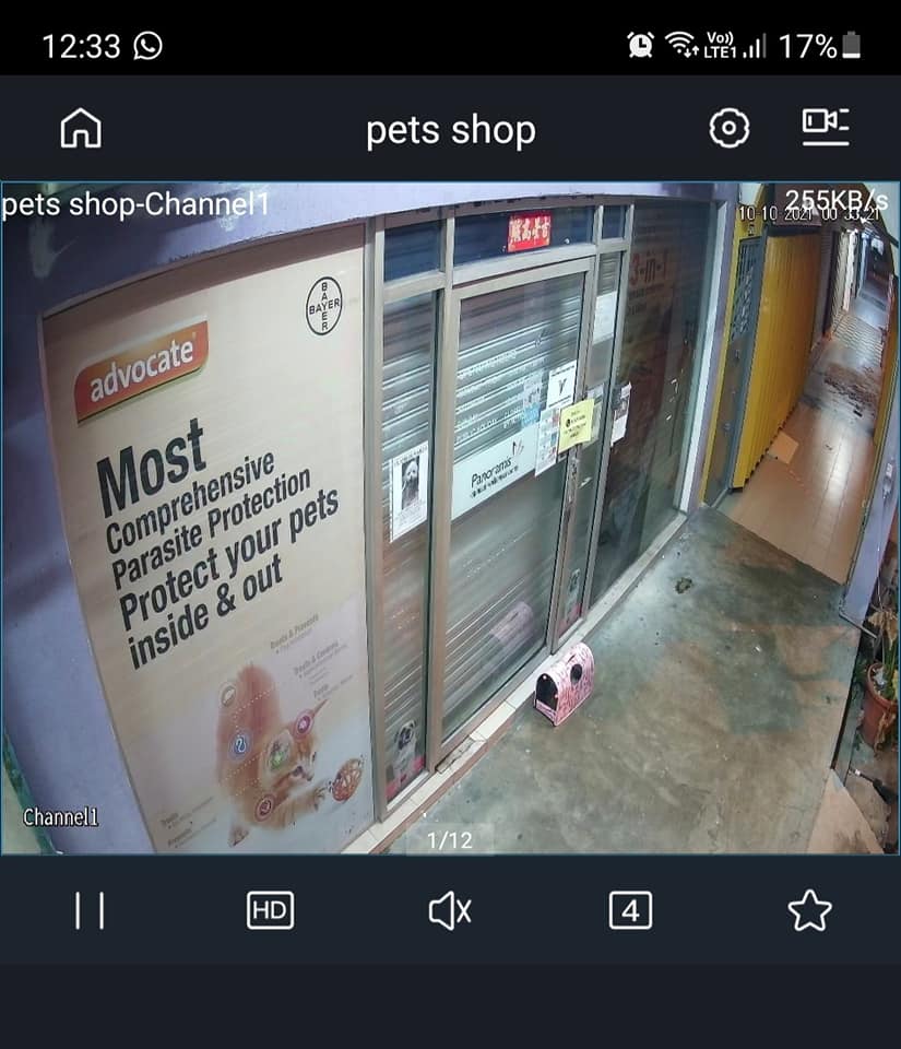 女子深夜偷偷弃置名犬诊所外 兽医怒斥:“太无耻!”