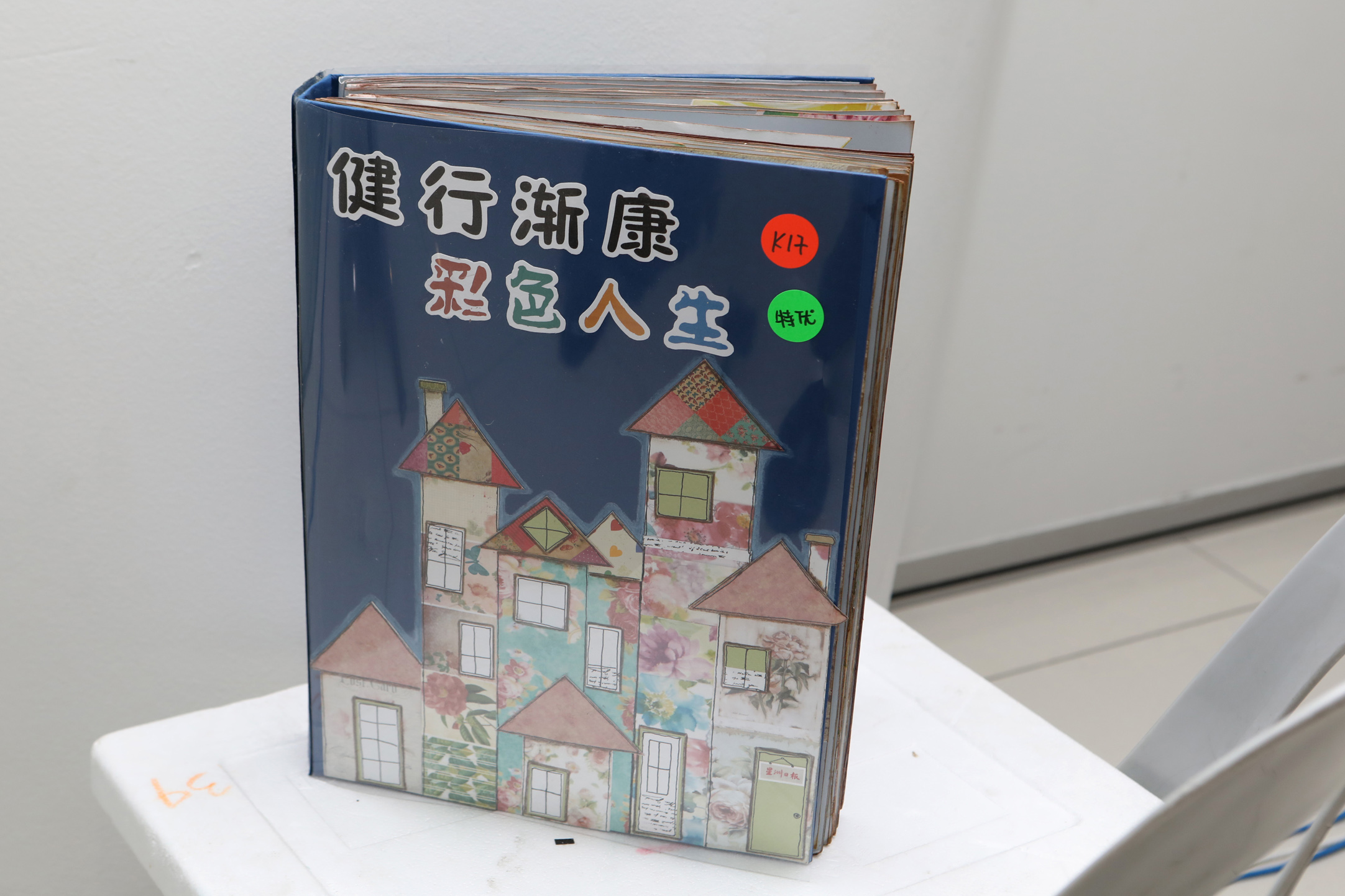 封底-大都会-本报专辑制作比赛／14图