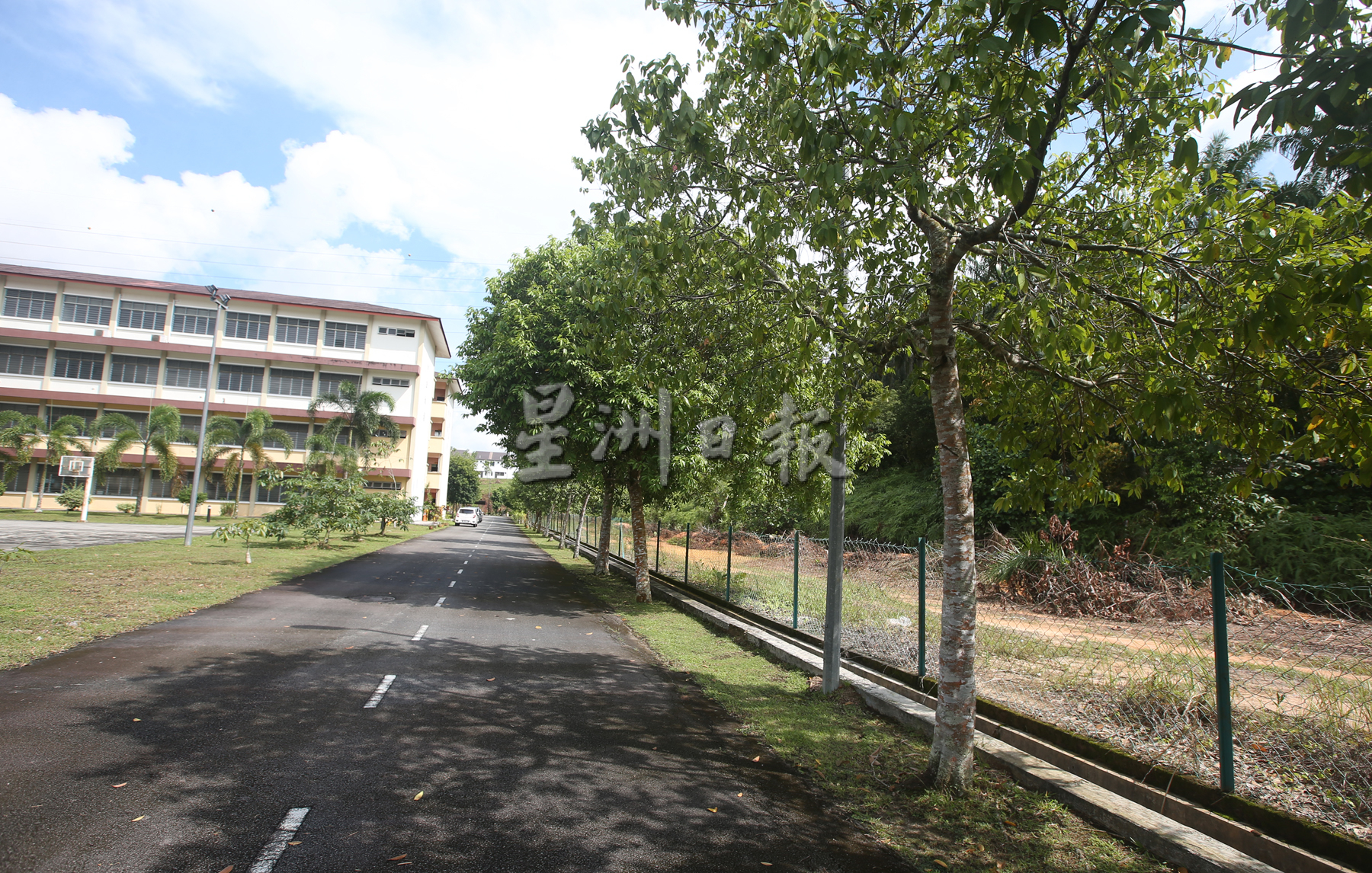**已签发（请置头条）**柔：封面：【民生特工队】：顽猴成群住宅区扰民，金山园泰丰华小也遭殃