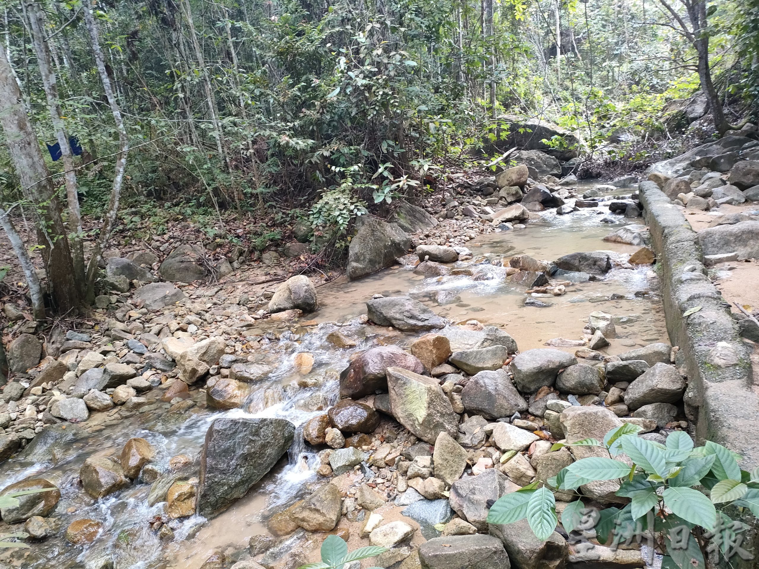 开始征RM10入林区准证费未予收据,古来埔来山措施再引登山客争议