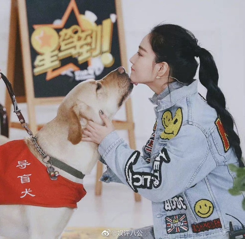 张馨予为导盲犬发声 吁多一点尊重