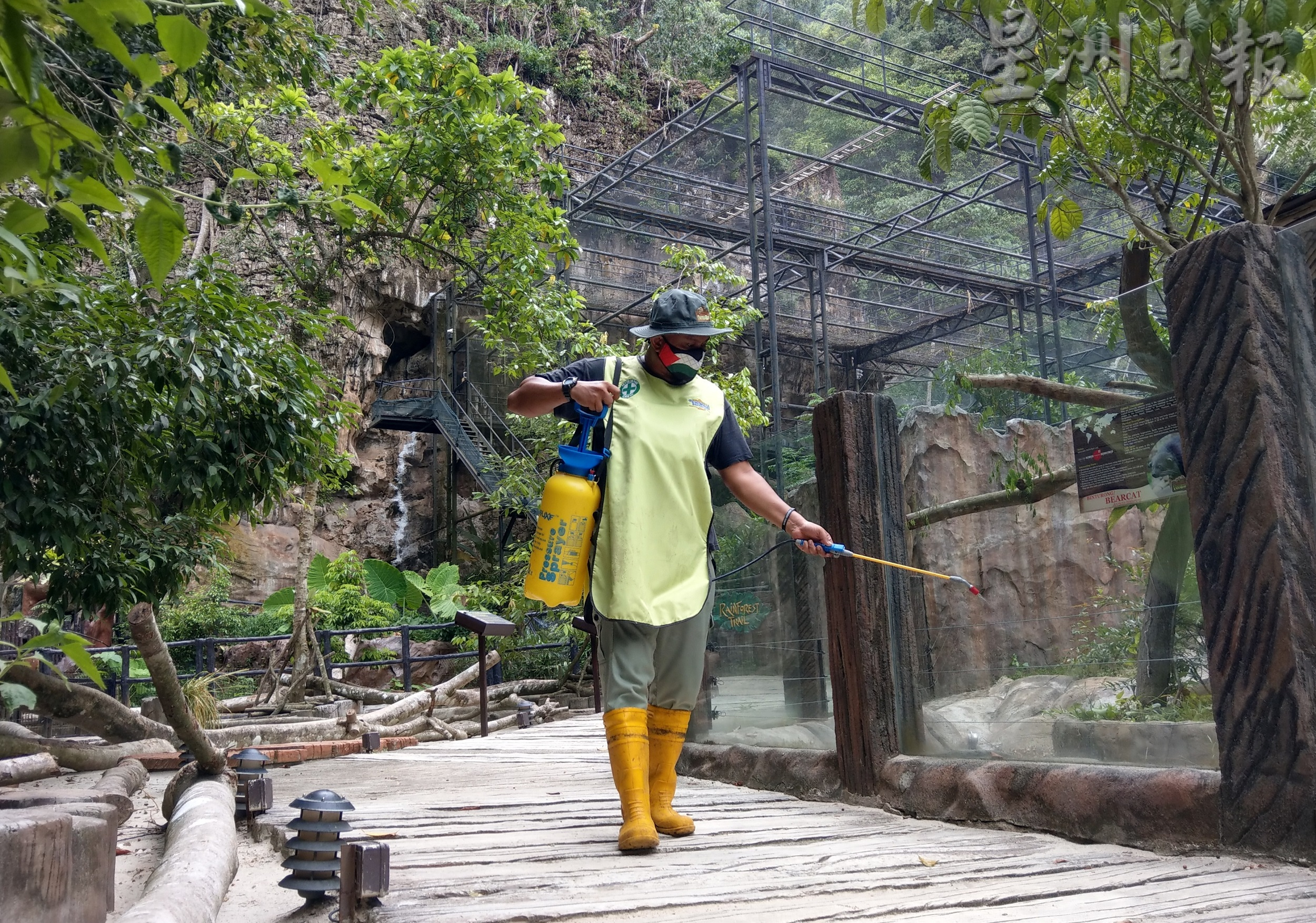 打扪迷失乐园明重开 完成接种者才可入园