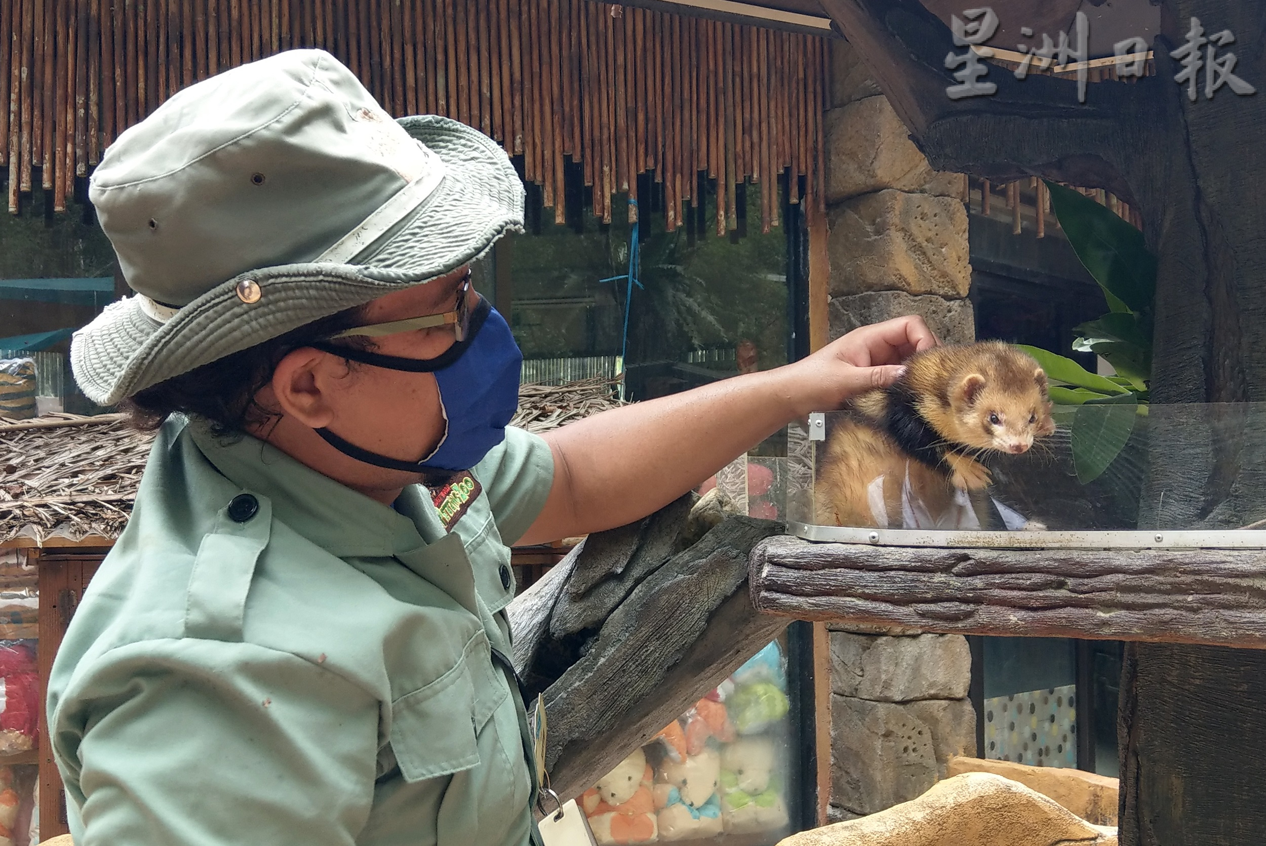 打扪迷失乐园明重开 完成接种者才可入园