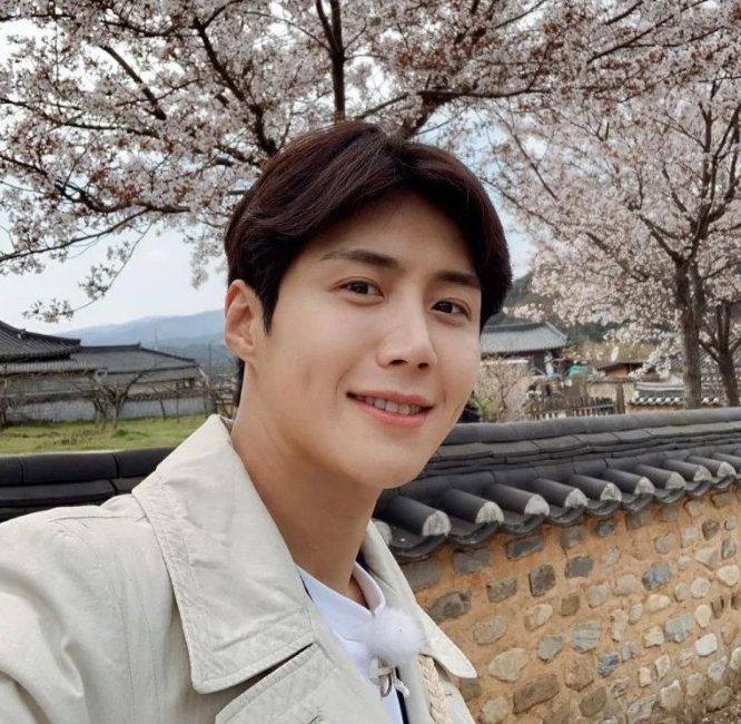 新慜娥突取消访问 8字回金宣虎丑闻