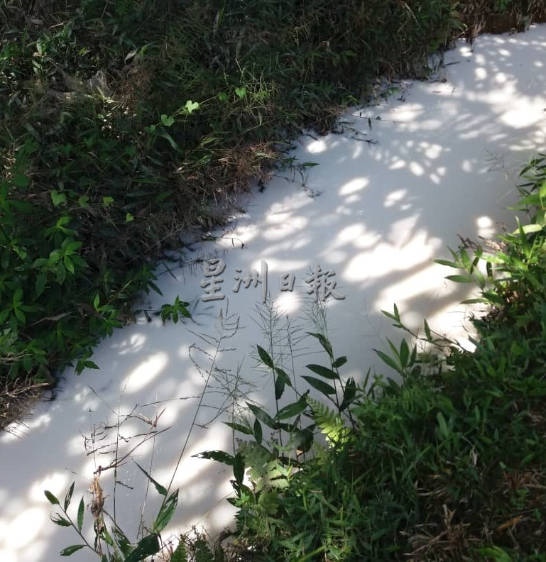 柔︰版头之一:广西村河变奶河,苏莱曼︰若污染将影响昔食水