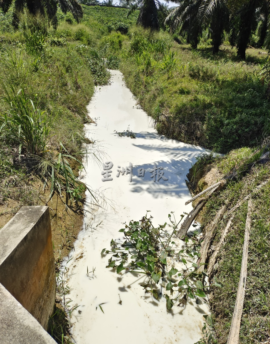 柔︰版头之一:广西村河变奶河,苏莱曼︰若污染将影响昔食水