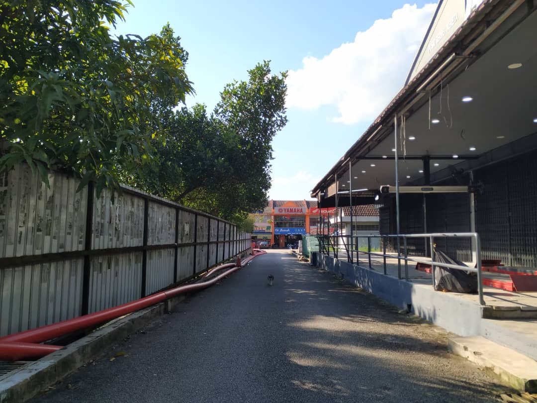 居民盼小路加街灯