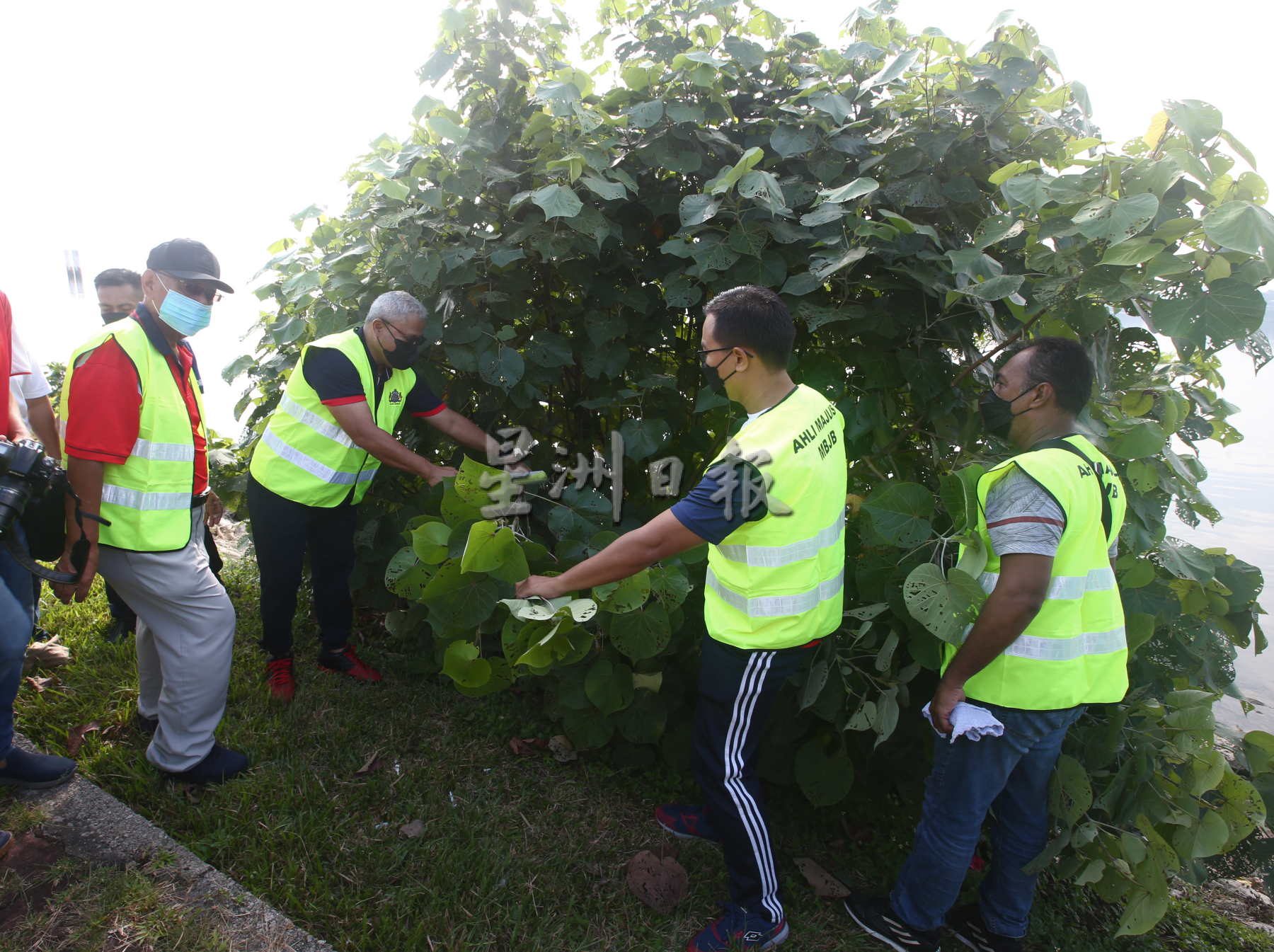 柔:版三:新闻:莫哈末诺阿占:吁发展商与州政府参与美化新山士都兰海边工作
