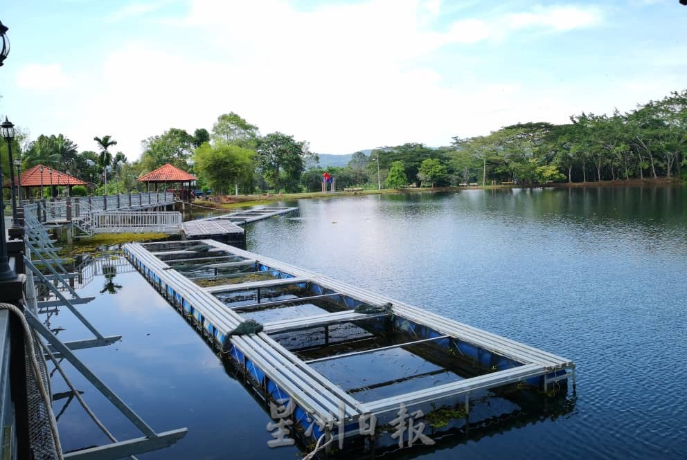  柔：这些人那些事（10月18日见报）：峇铁山二战悲壮血泪史，700华裔矿工罢工抗日