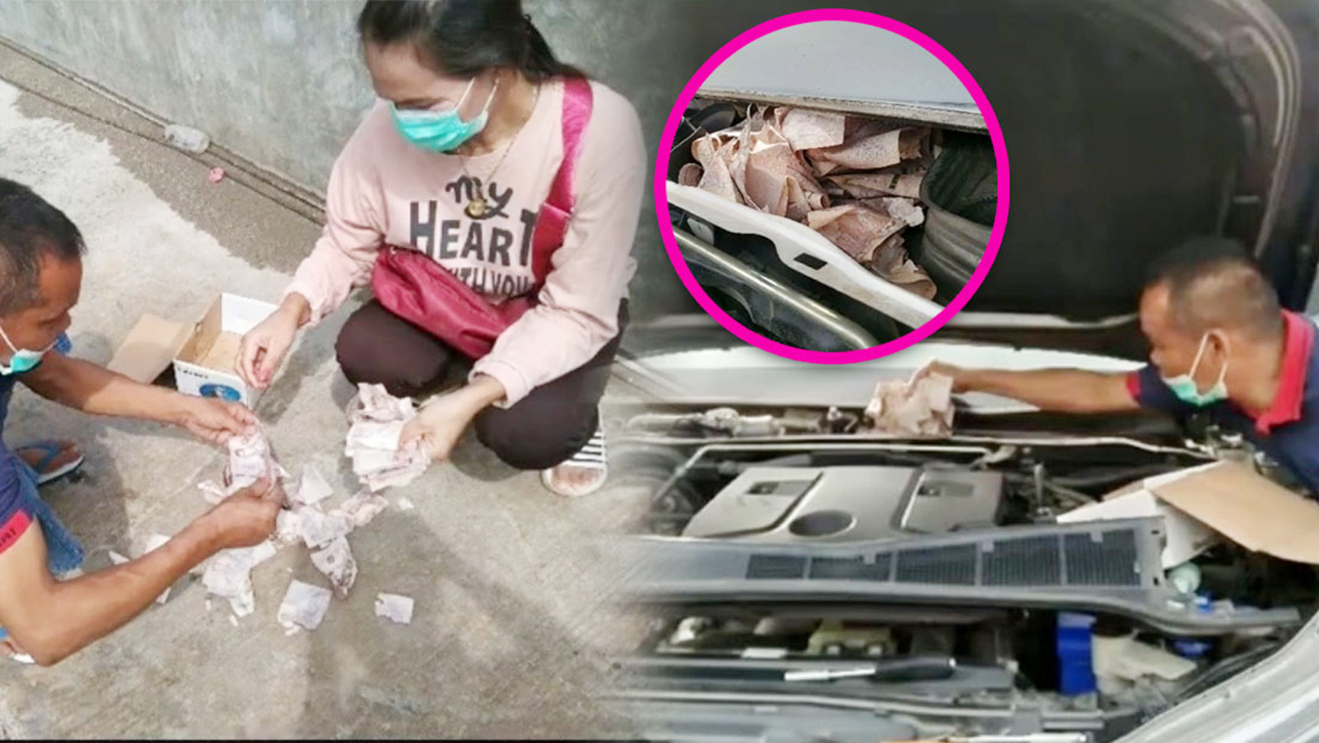 泰男私房钱藏车缝 老鼠啃碎剩逾千元