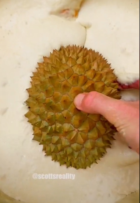 炸有壳榴梿 整串红毛丹 网民看傻眼